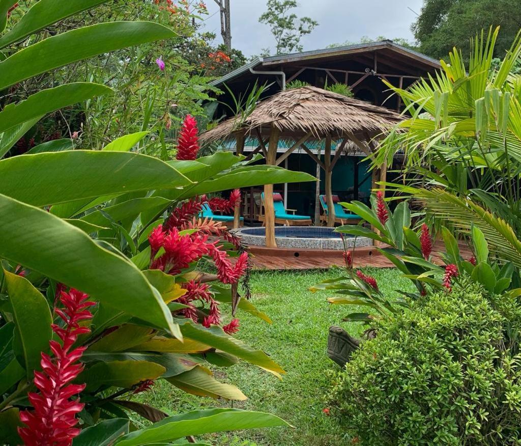Casa Mambo Bed & Breakfast Cahuita Exterior photo